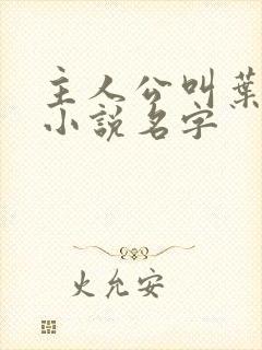 主人公叫叶帆的小说名字