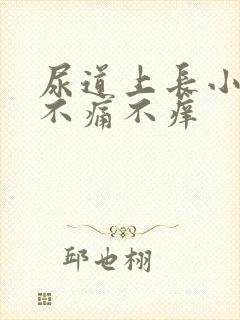 尿道上长小水泡不痛不痒