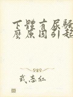 下体有尿骚味什么原因引起的