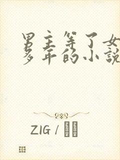 男主等了女主很多年的小说