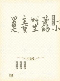 男主叫萧玦女主是重生的小说