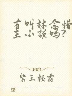 有叫林念惜的女主小说吗?