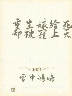 重生嫁给死对头却被宠上天