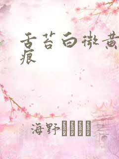 舌苔白微黄有齿痕