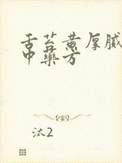 舌苔黄厚腻口苦中药方