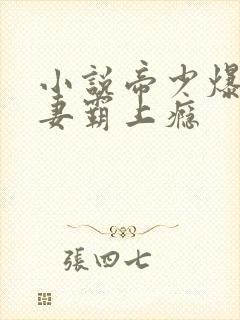 小说帝少爆宠娇妻霸上瘾