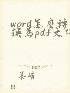 word怎么转换为pdf文件电脑