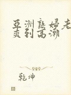 亚洲熟妇老熟女爽到高潮