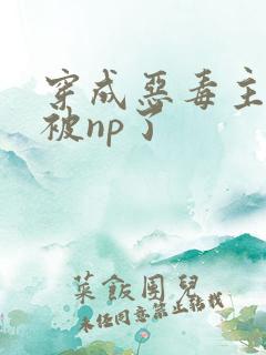 穿成恶毒主角攻被np了