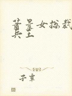 萧晨女总裁全能兵王