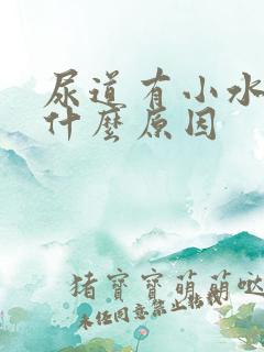 尿道有小水泡是什么原因