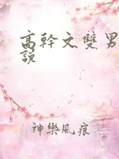高干文双男主小说