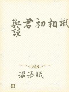 与君初相识 小说