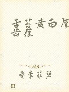 舌苔黄白厚腻有齿痕