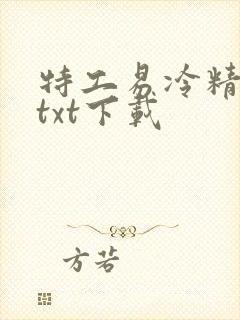 特工易冷精校版txt下载