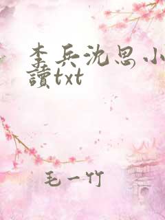 李兵沈思小说阅读txt