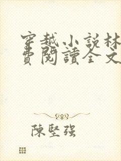 穿越小说林丰免费阅读全文