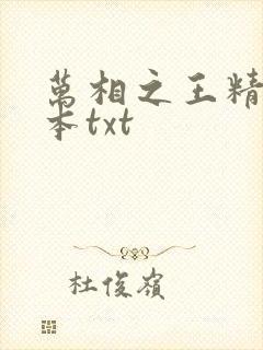 万相之王精校全本txt