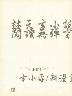 林天玄小说免费阅读无弹窗