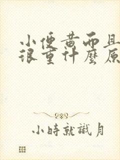 小便黄而且味道很重什么原因