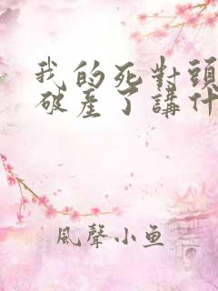 我的死对头终于破产了讲什么