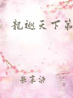 龙巡天下第四部
