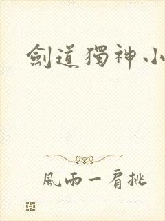 剑道独神小说