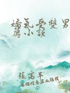 娇气受双男主推荐小说