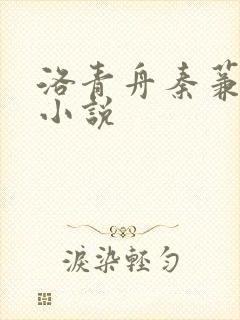 洛青舟秦蒹葭的小说