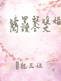 暗黑系暖婚阅读阅读全文