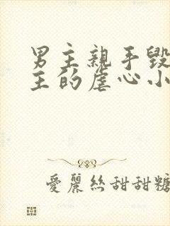 男主亲手毁了女主的虐心小说