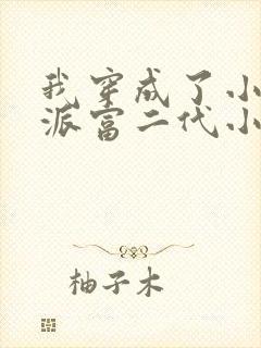 我穿成了小说反派富二代小说