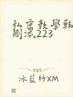 私密教学韩漫无删减223
