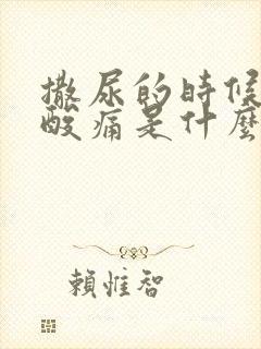 撒尿的时候尿道酸痛是什么原因