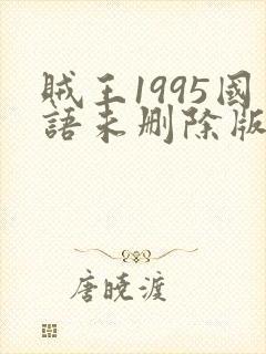 贼王1995国语未删除版下载