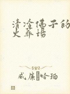 清冷佛子的追妻火葬场