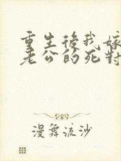 重生后我嫁给了老公的死对头 短剧