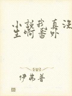 小说我真没想重生啊番外