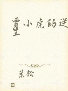 贾小虎的逆袭人生