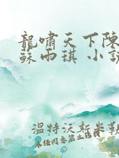 龙啸天下陈平,苏雨琪 小说