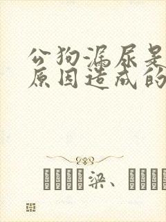 公狗漏尿是什么原因造成的