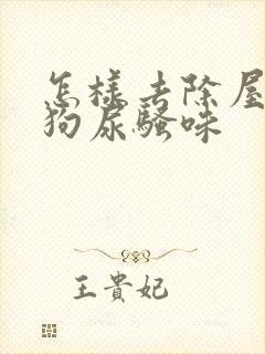 怎样去除屋里的狗尿骚味