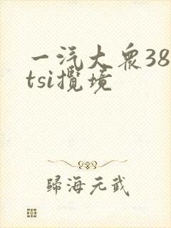 一汽大众380tsi揽境