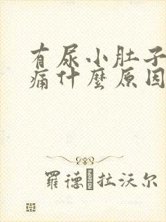 有尿小肚子就胀痛什么原因引起的