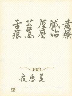 舌苔厚腻黄有齿痕怎么治疗