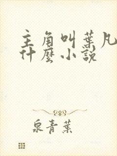 主角叫叶凡的是什么小说