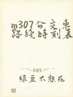 m307公交车路线时刻表