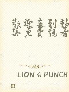 欢迎来到动漫全集免费观看