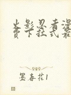 火影忍者漫画免费下拉式最新1023