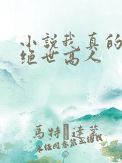 小说我真的不是绝世高人